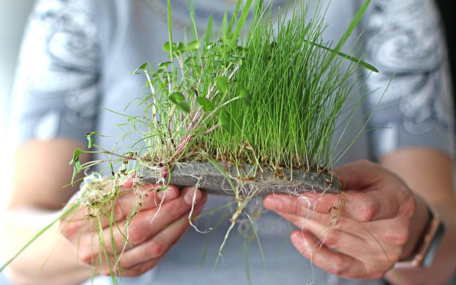 Ze střepů k novým začátkům. Glassiteca dává skleněnému odpadu druhý život